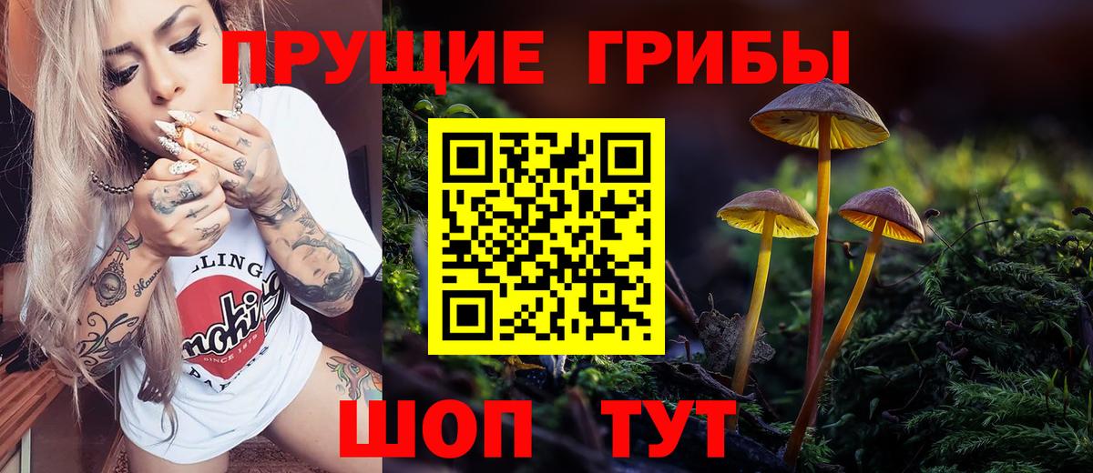 Галлюциногенные грибы Psilocybe  Галлюциногенные грибы мухоморы  Кохма  Вход с VPN 